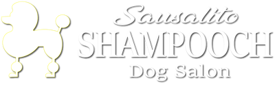 Shampooch grooming sales salon