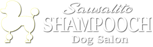 Shampooch dog best sale grooming